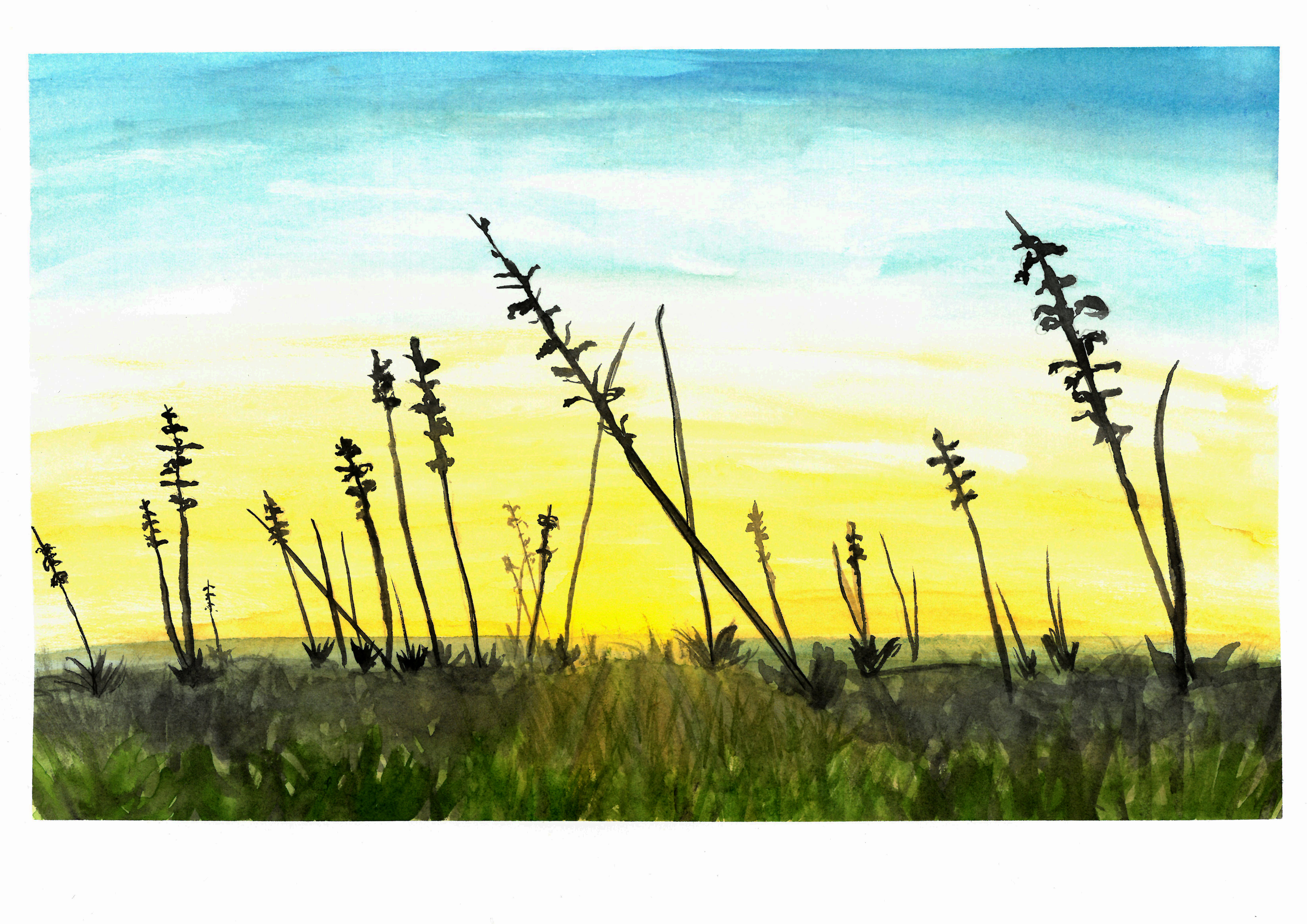 Paisaje